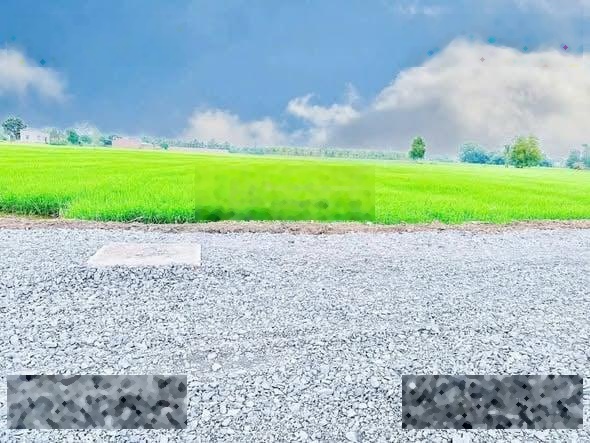 Đất đẹp đường xe hơi, nằm sau lưng chợ Hòa Khánh 5x29m nở hậu 6m,chủ gửi 790TR