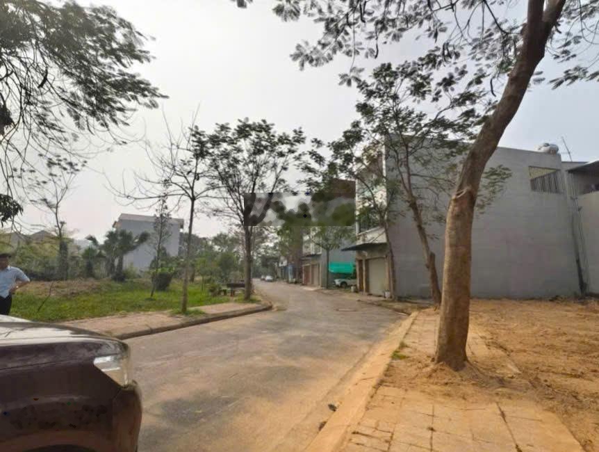 Bán đất Khu D Nam Đầm - Vĩnh Yên | View vườn hoa cực đẹp, vị trí thoáng mát
