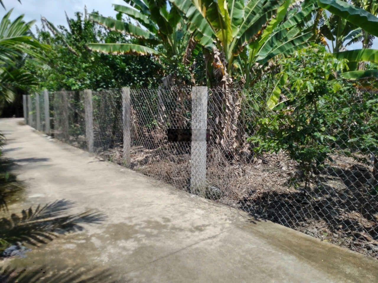 Đất bán tại Đường DH87, Xã Tân Mỹ Chánh, Mỹ Tho, Tiền Giang, giá 550 triệu, 150m2