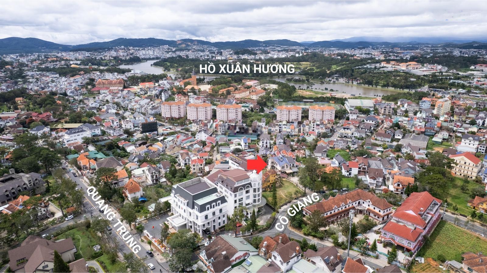 ảnh