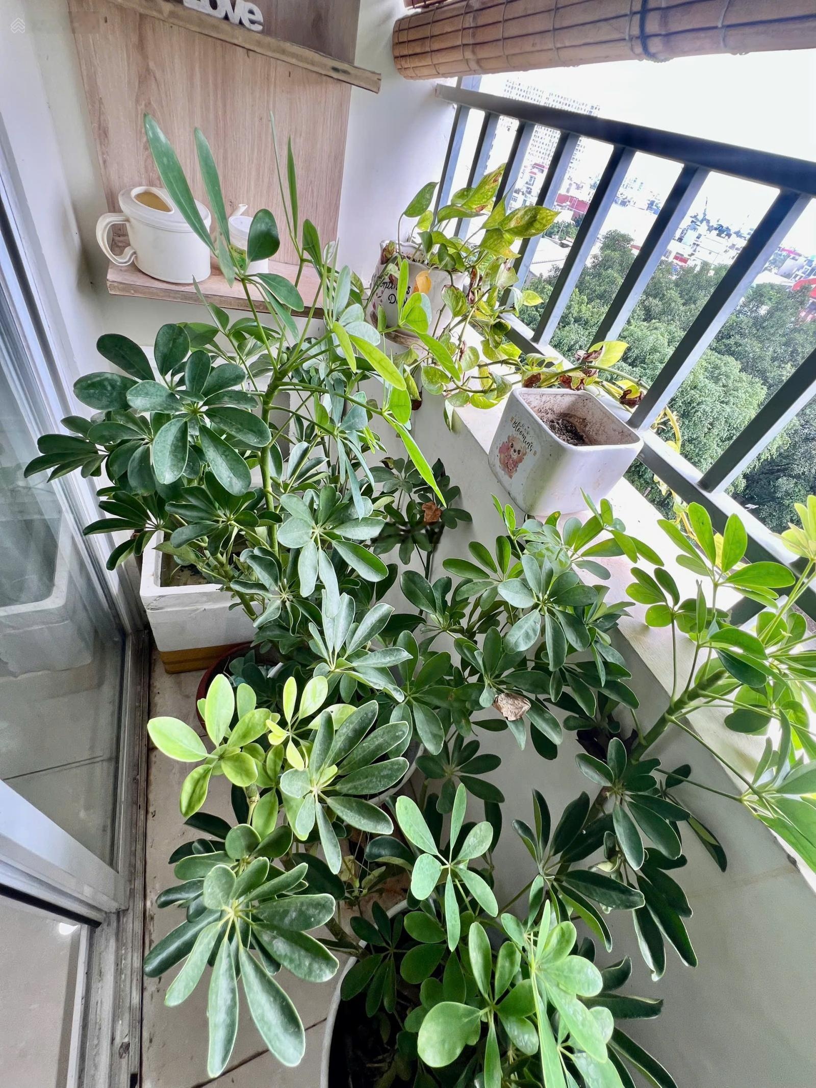 Căn hộ góc DreamHome Residence Gò Vấp - 3PN - 2WC- full nội thất- 15 Triệu - chính chủ 0901909111