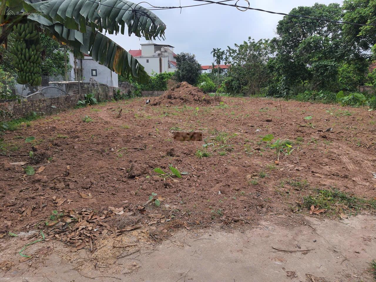 Chính chủ bán đất đẹp tại Đường Tỉnh lộ 205, Đông Tảo, Khoái Châu 579,2 m2 (420 mét thổ cư)