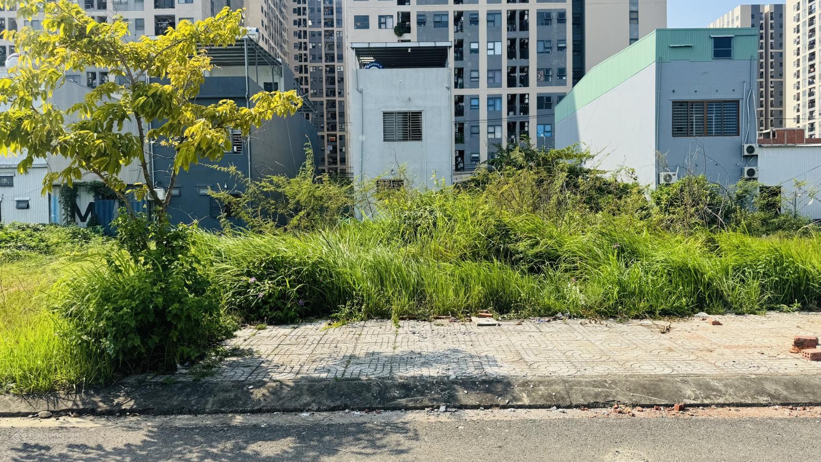 Hàng hiếm trung lập 5 100m chỉ 3,6 tỷ (giá tốt trong khu)
