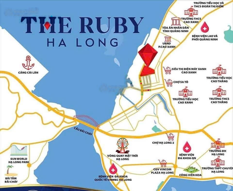Em gấm cư dân the ruby hạ long được chủ nhà tin tưởng gửi bán các căn giá tốt, làm việc chính chủ