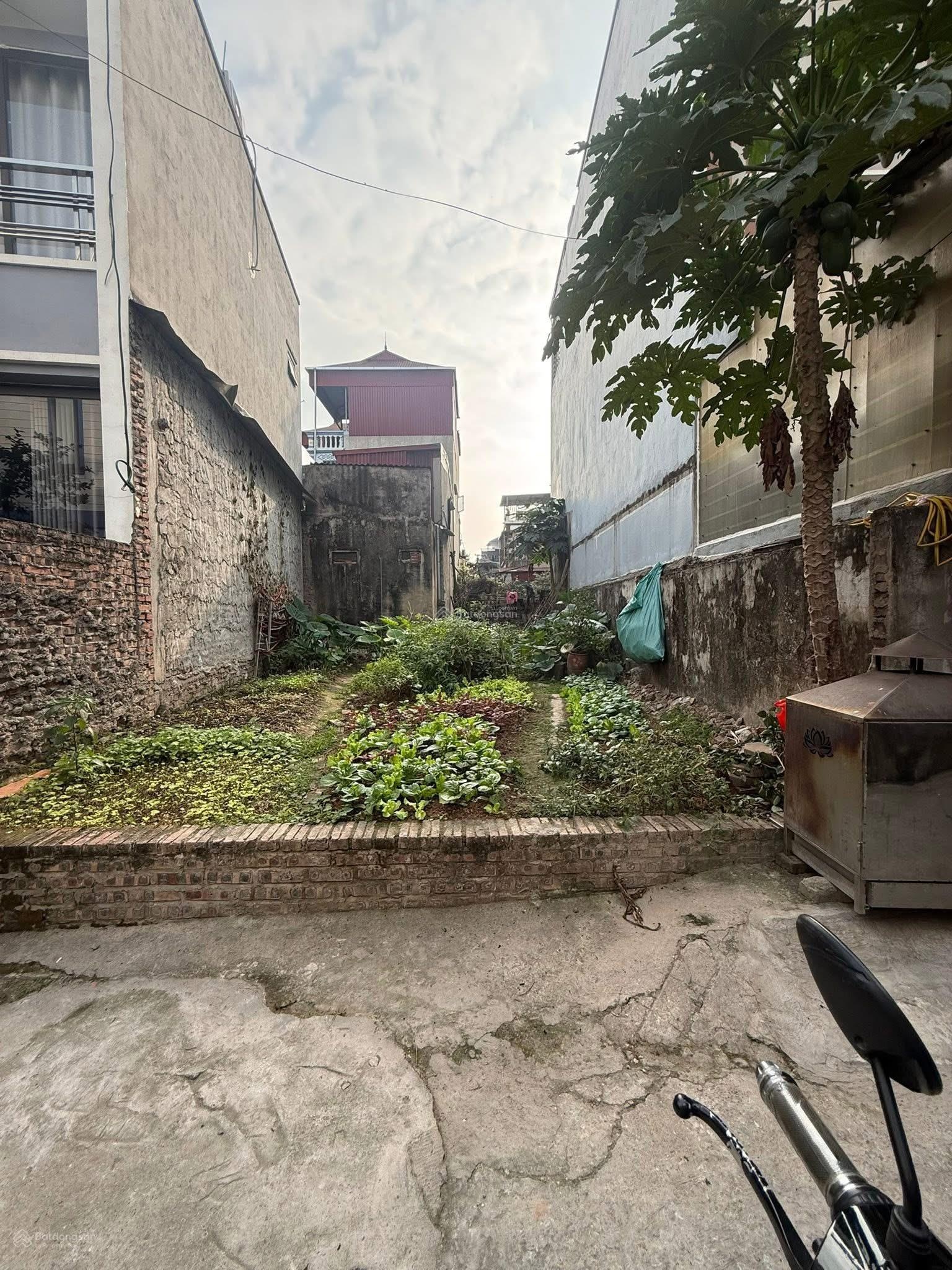Trung tâm thanh trì oto đỗ cửa duy nhất 1 lô