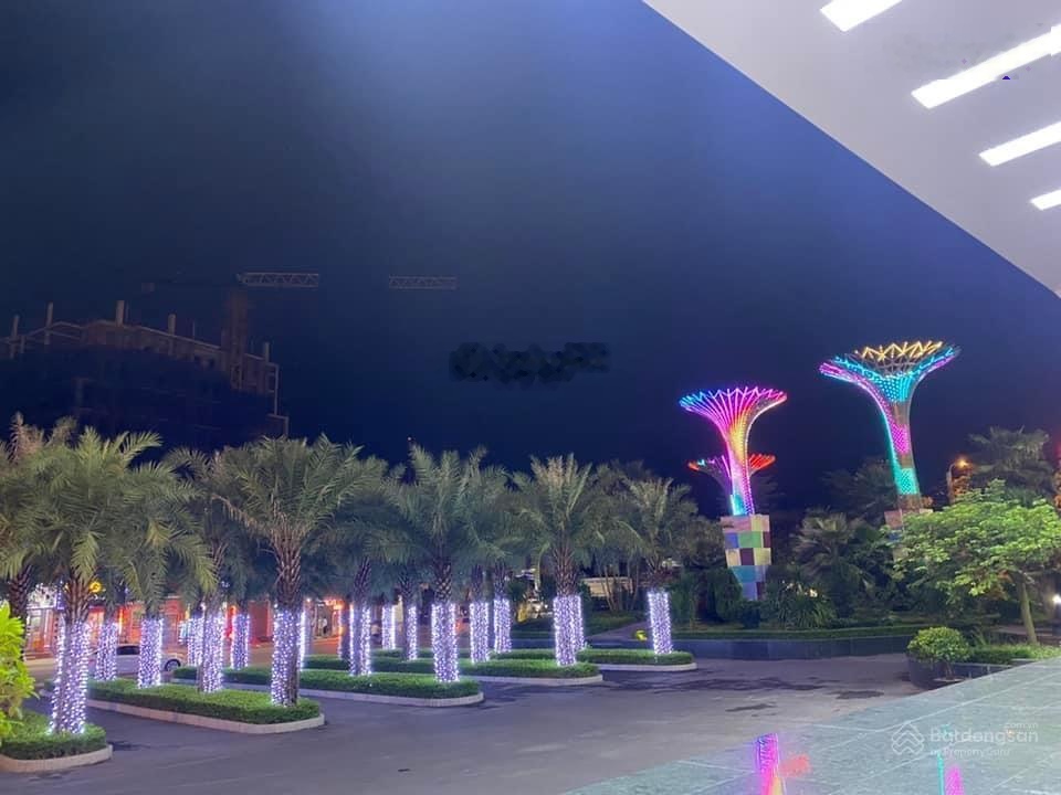 ảnh