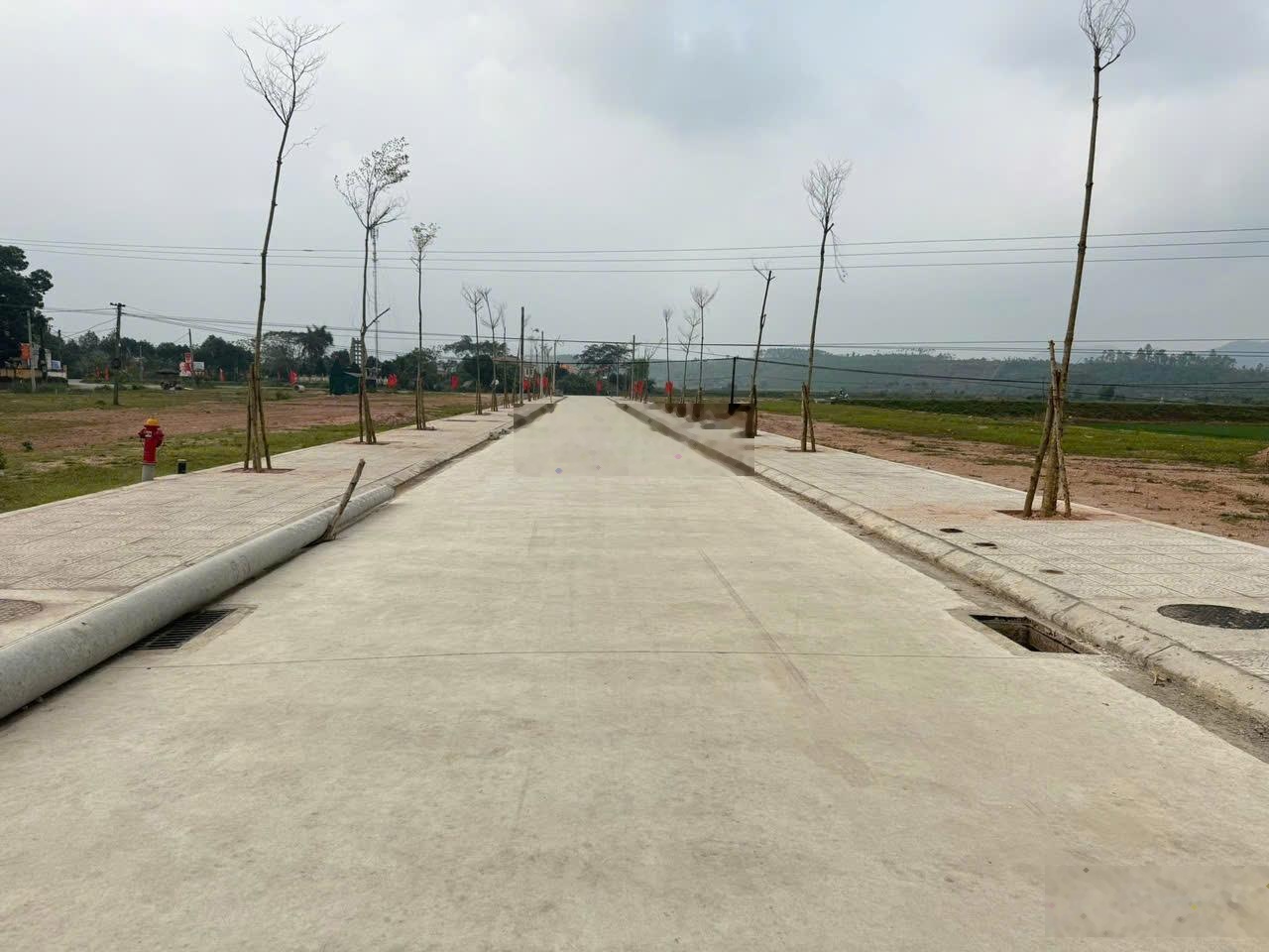 Bán đất đấu giá ô a09 tề lễ, tam nông, phú thọ