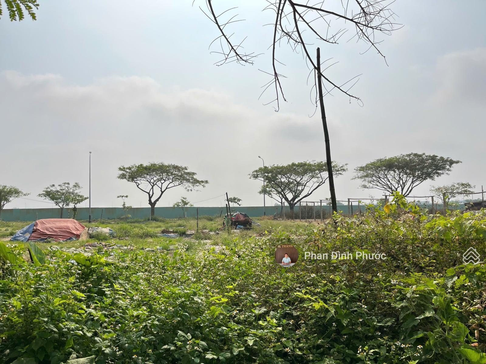 Bán đất đường lê đỉnh - view dự án aeon mall, hòa xuân