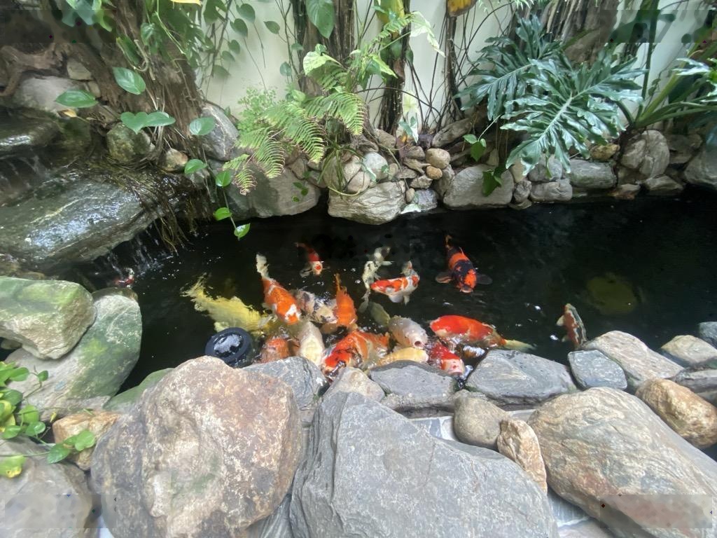 Nhà đẹp trung tâm ngõ bàn cờ thông ô tô thang máy ở sướng