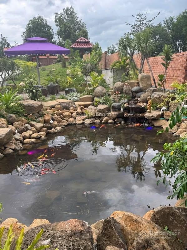 Bán view nhà vườn đẹp đầy đủ tiện ngh