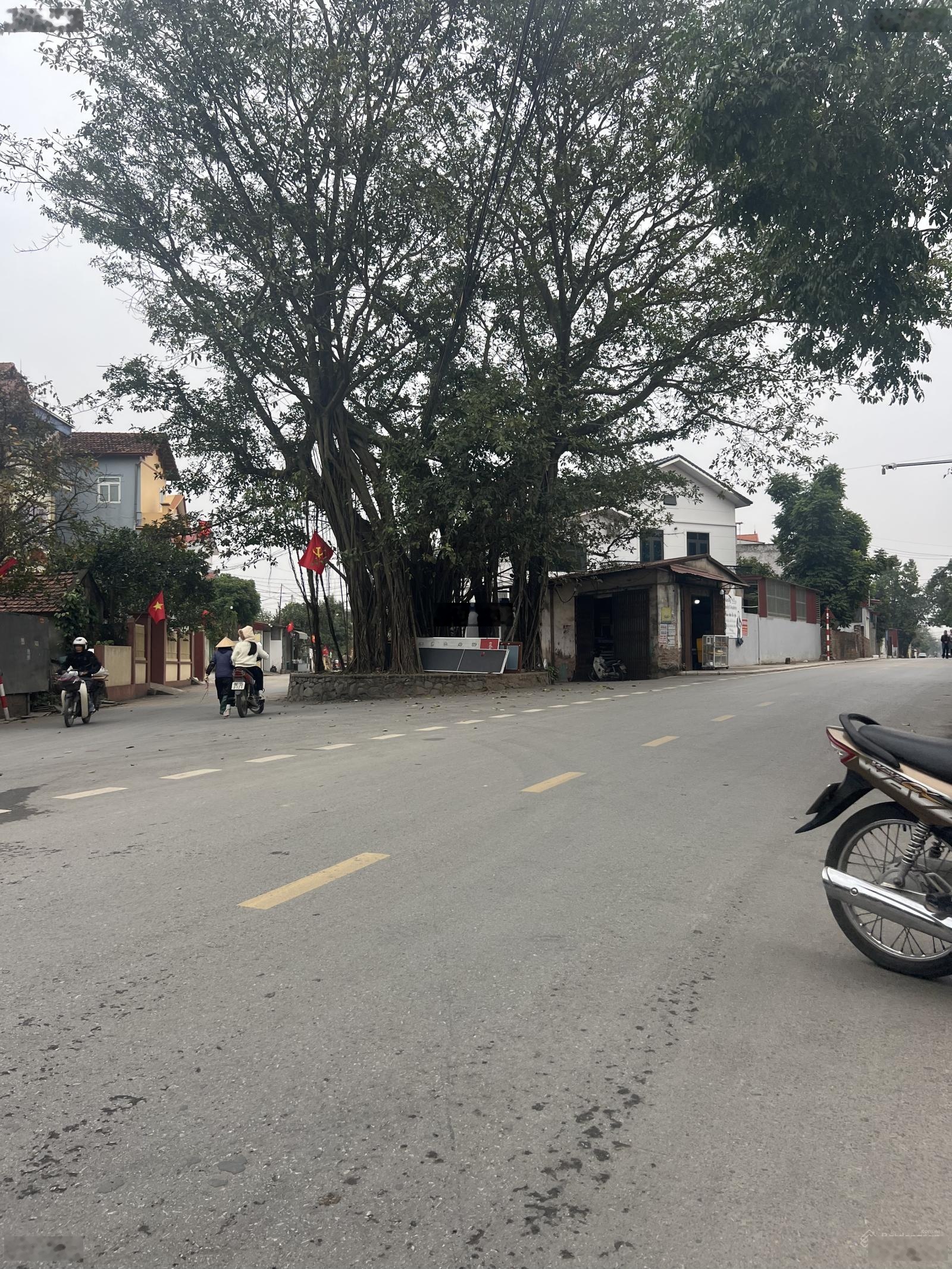Bán đất kinh doanh Phú Hữu, Thanh Lâm, Mê Linh, giá cực tốt