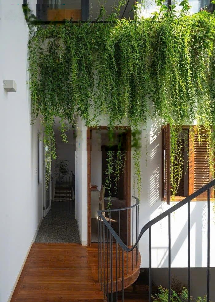 Nhận giữ chổ căn hộ View biển, chạm biển chỉ sau 5 phút, Giá 1,8 tỷ/căn.