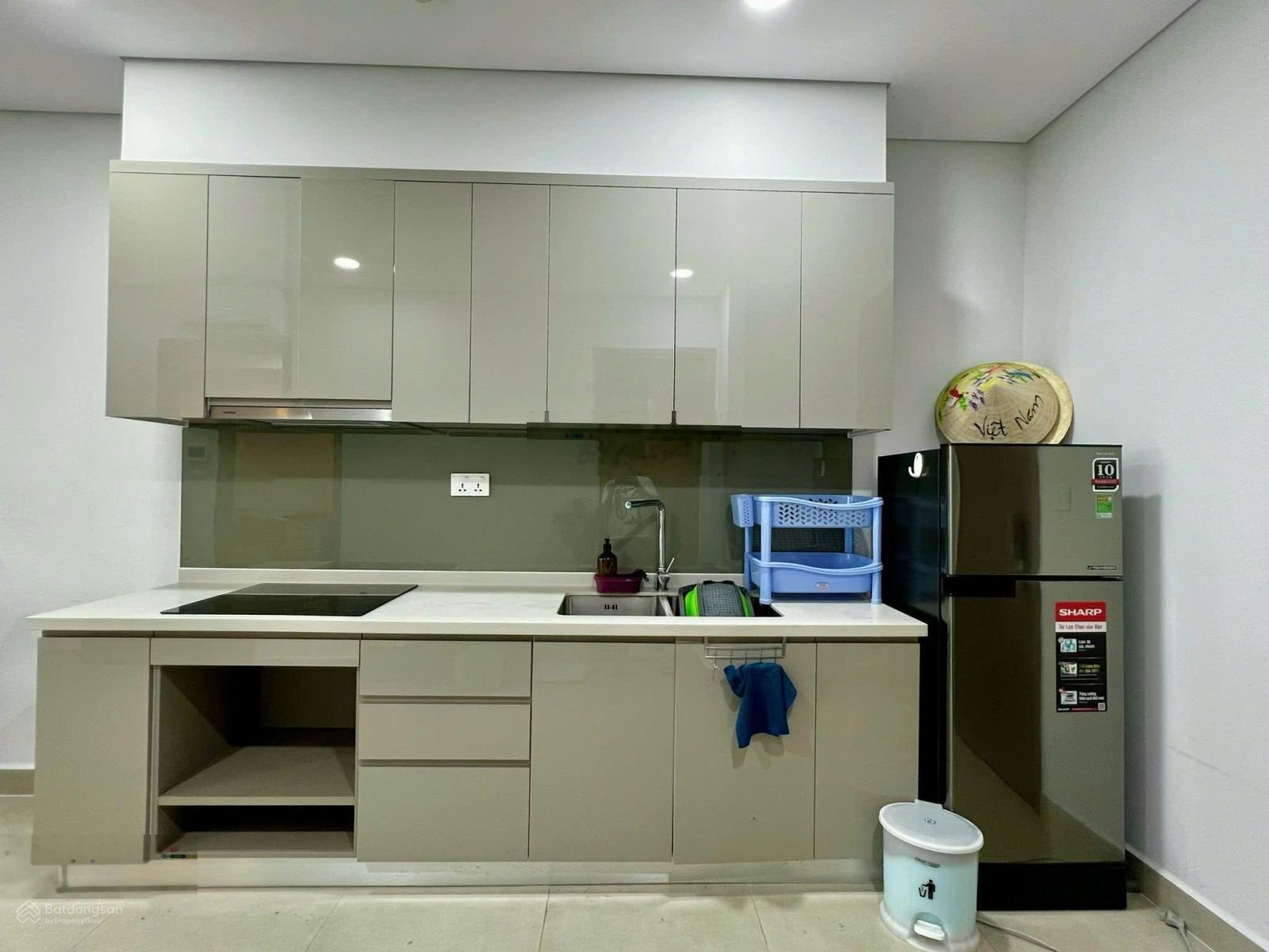 Cho thuê căn hộ 1pn full nội thất view sông trực tiếp sky89 q7