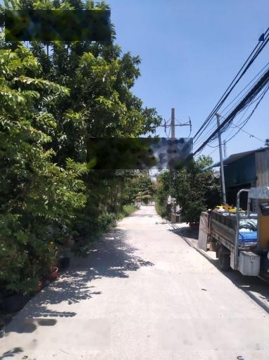 Cho thuê đất trống 2 mặt tiền 239m²