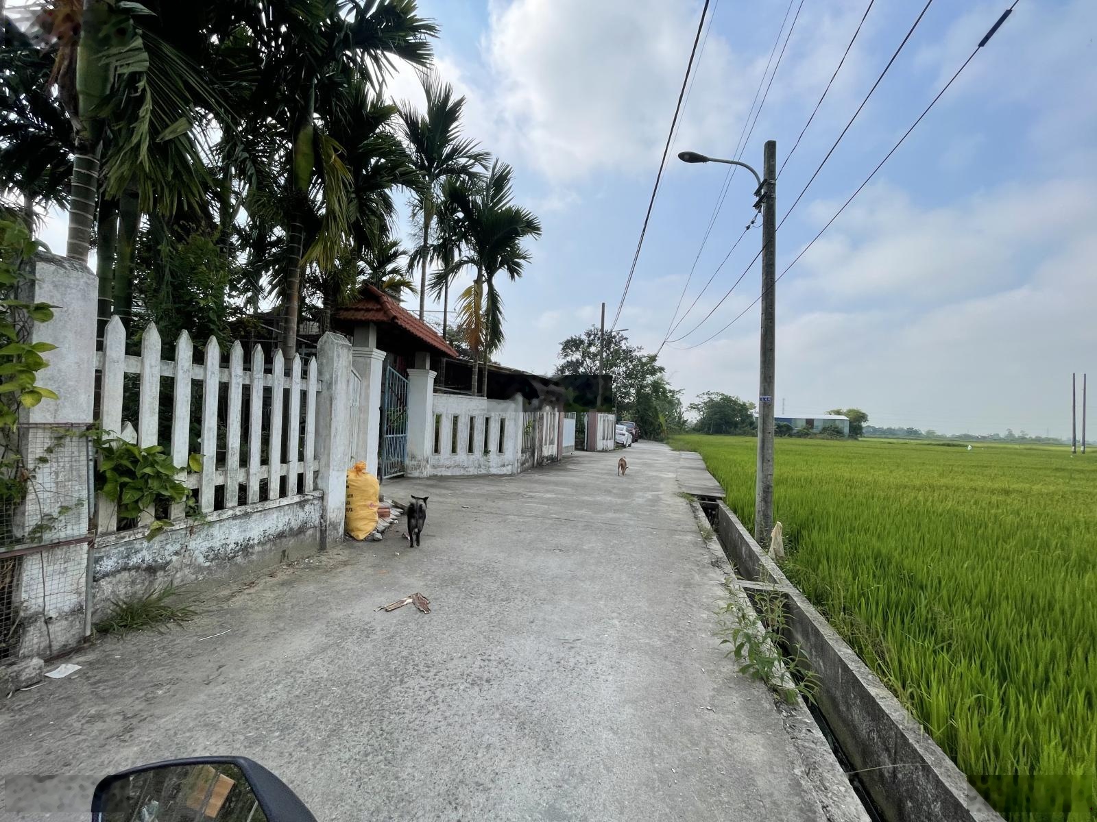 Bán lô góc 2 Mặt Tiền view đồng Quang Châu- Hoà Xuân xây nhà thoáng mát