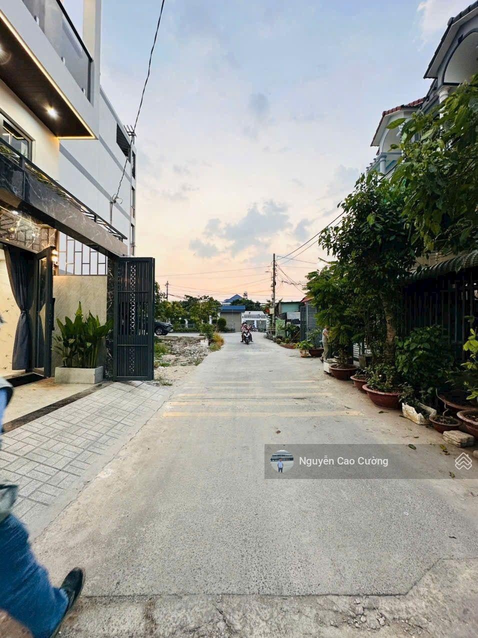 ảnh