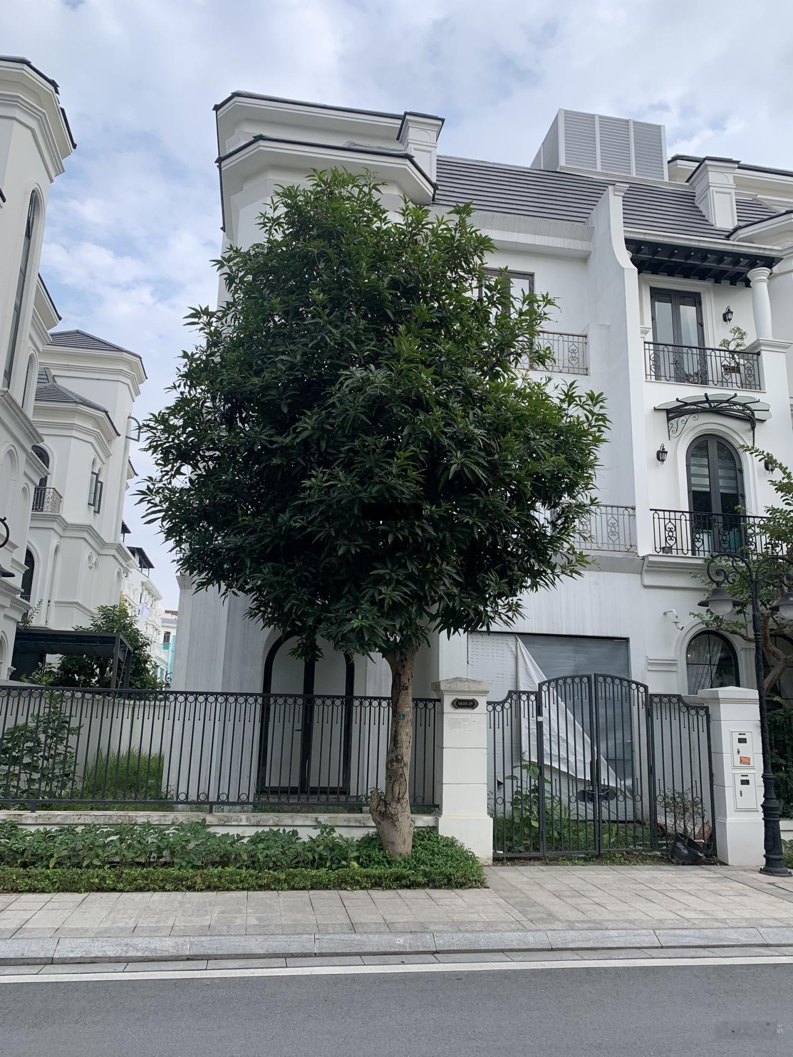 32tỷ! Biệt thự song lập Sao Biển 150m2 Tây Bắc, 80m tới hồ 24,5ha, quảng trường Vinhomes Ocean Park