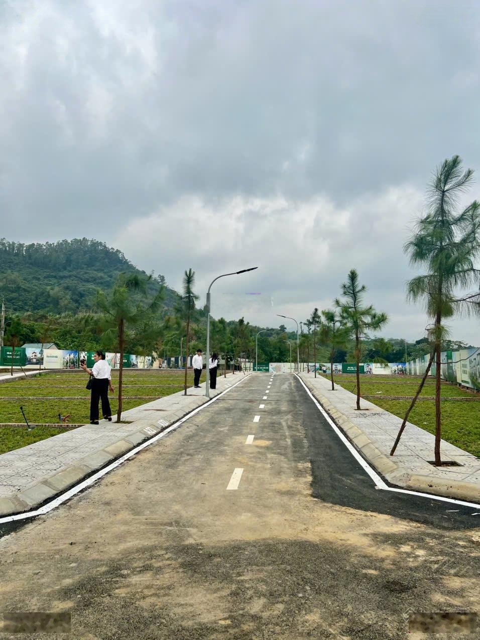 Bán đất tại Trại Hồ, Đồng Trạng, Cổ Đông, 30 triệu / m2, 100m2