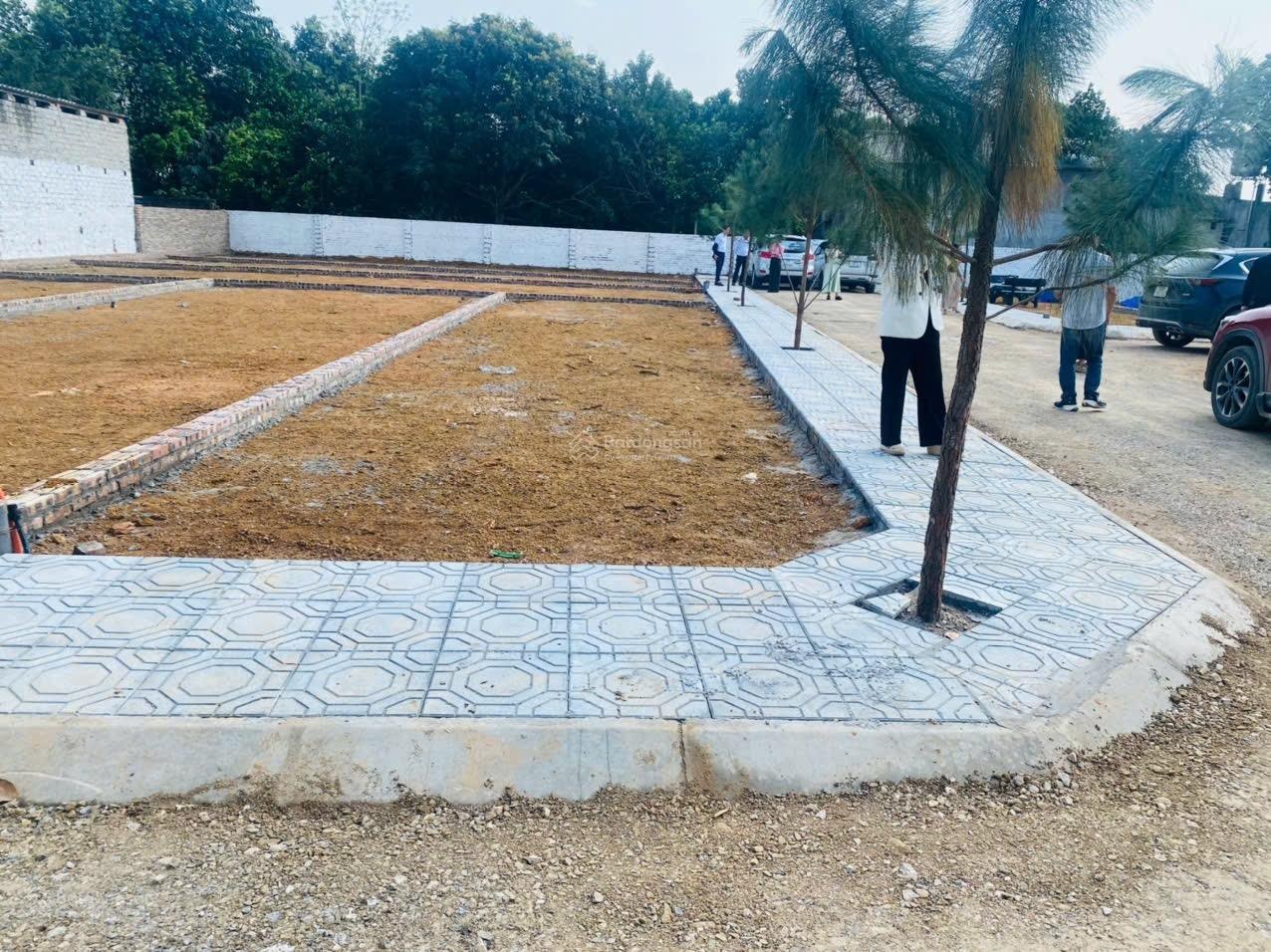 Chủ ngộp bank 120m tái định cư Bình yên cần bán gấp, vị trí đẹp kinh doanh, giá cắt lỗ siêu đẹp