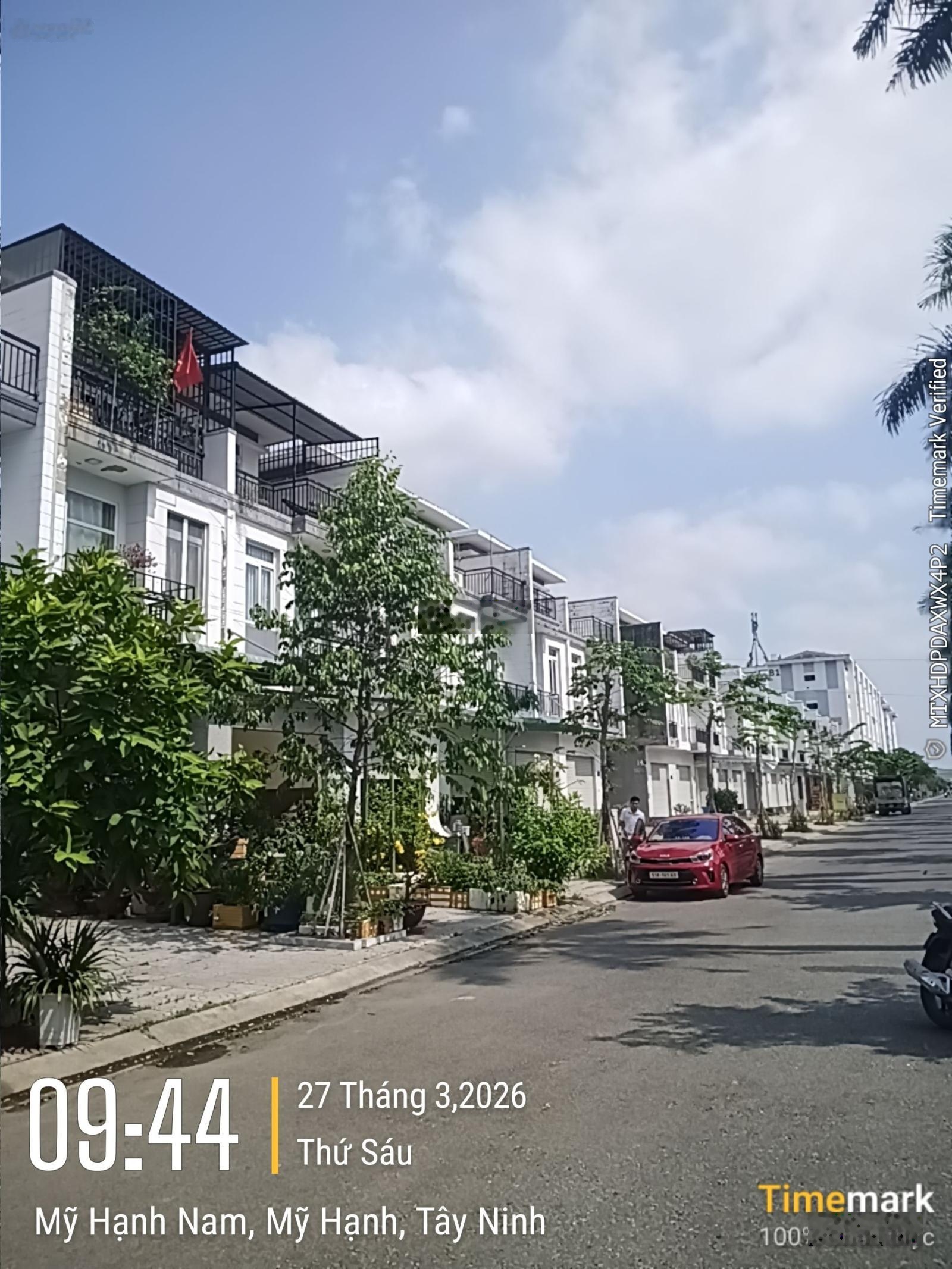 ảnh