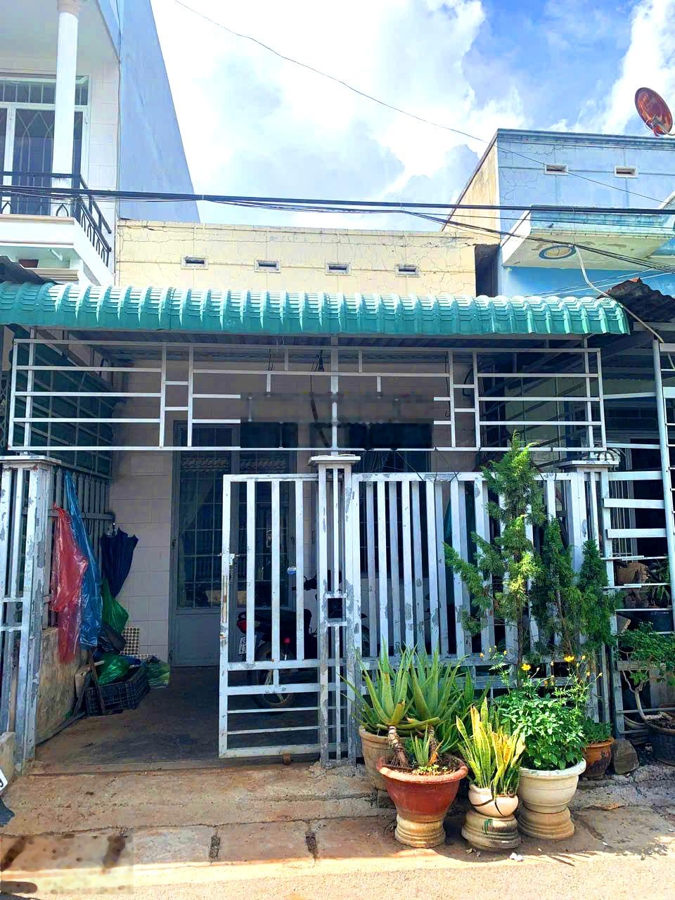 ảnh