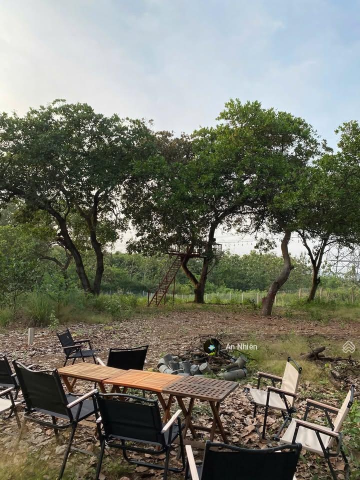Chủ nhượng lại mảnh vườn nghỉ dưỡng view hồ Trị An, ở Thống Nhất Đồng Nai