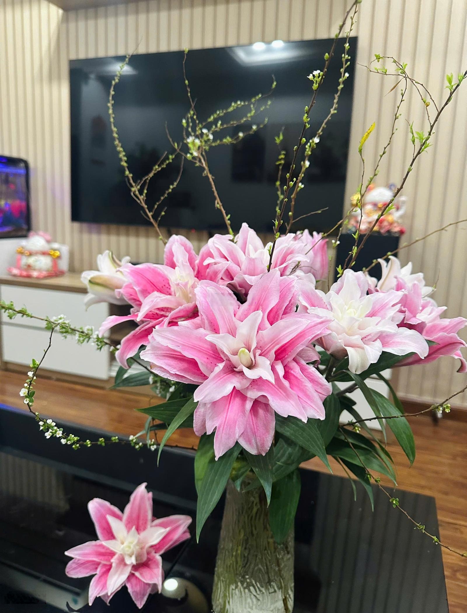 Chính chủ bán căn 2PN Sky Central 69m² Full nội thất đẹp giá tốt 7,15 tỷ