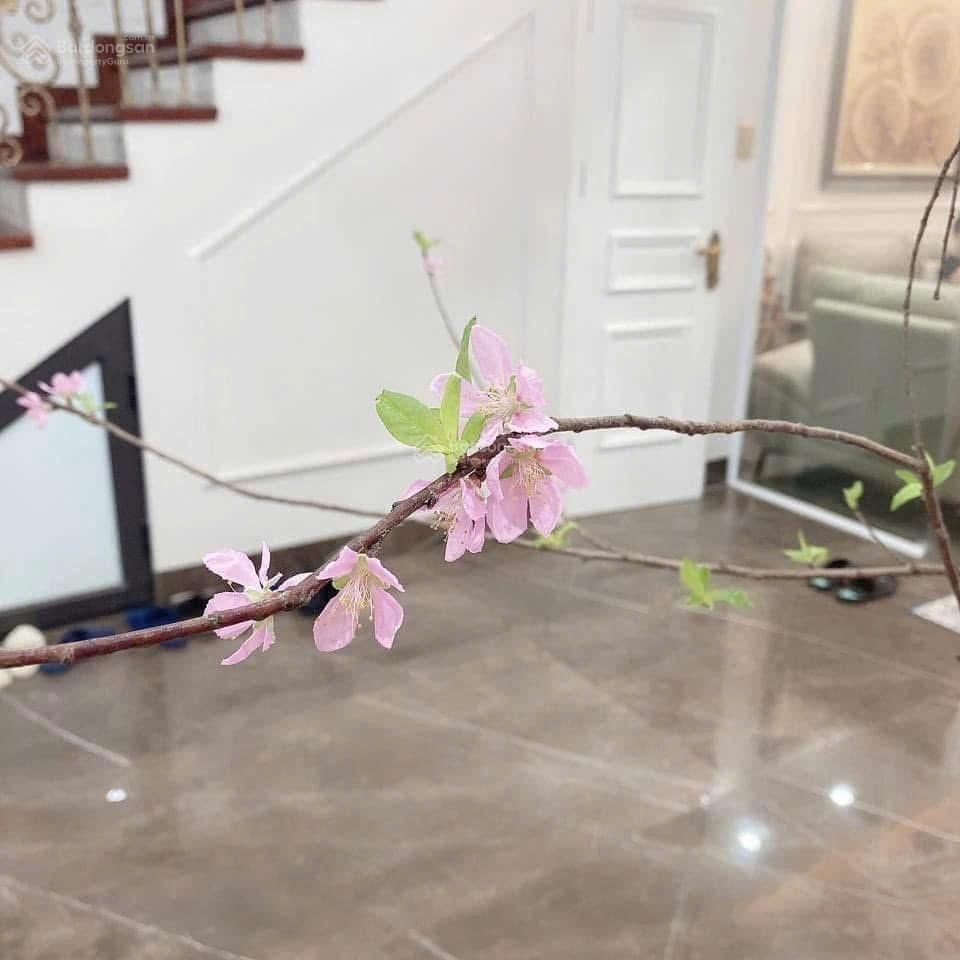 Chính chủ bán liền kề Tây Nam Linh Đàm DT 60m2