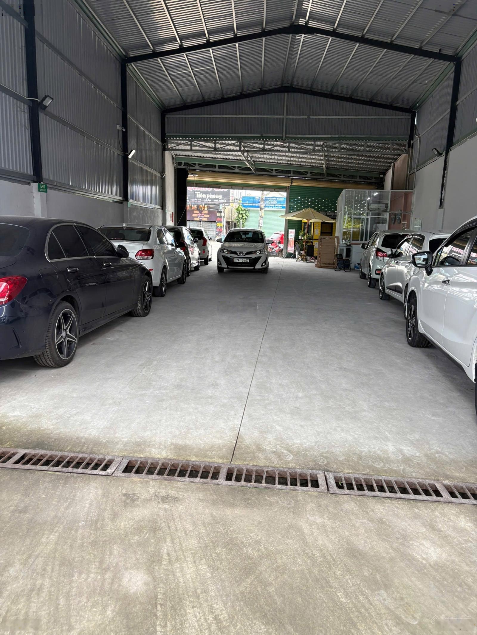 ảnh