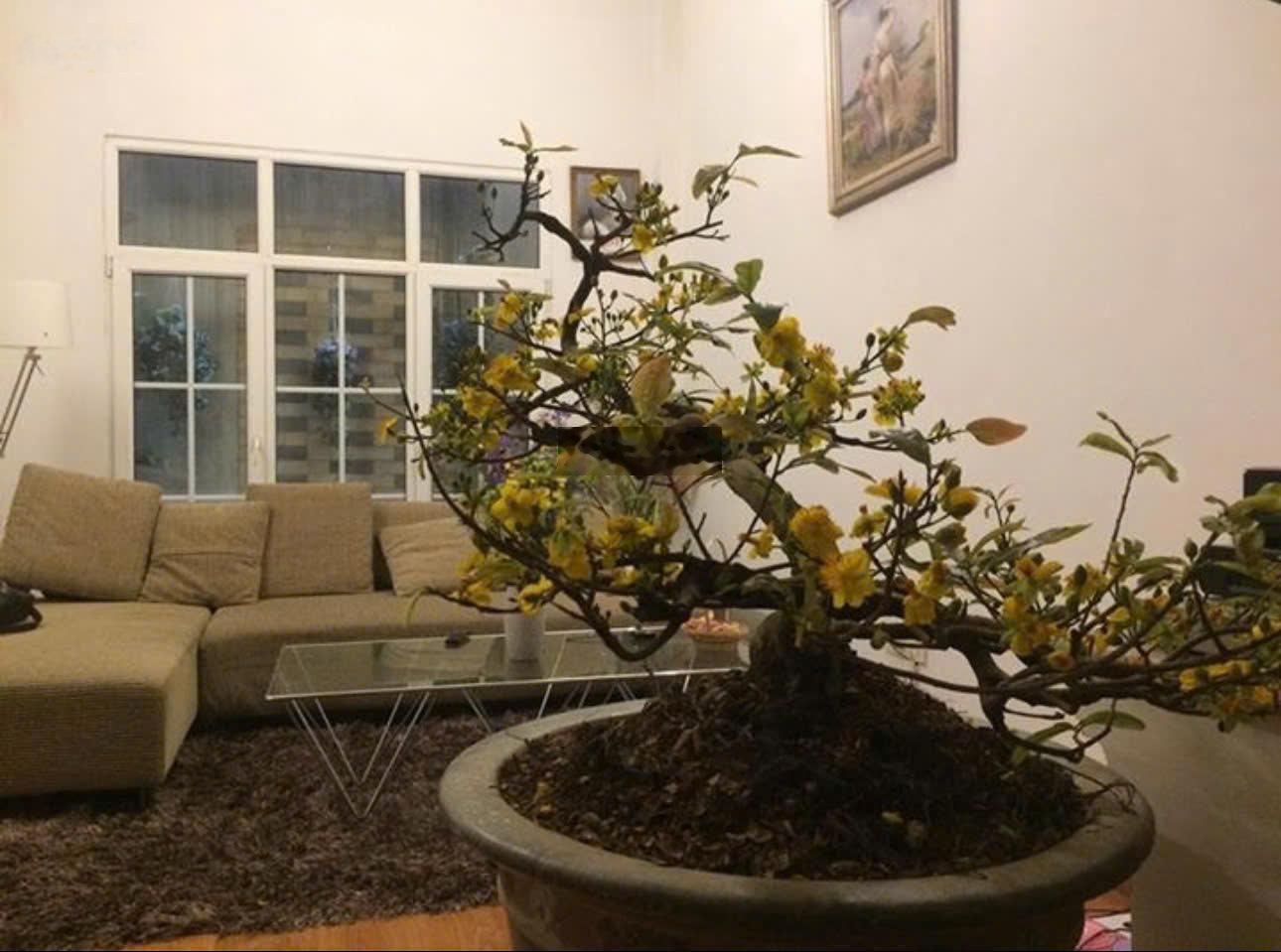 Bán nhà riêng tại Đường Âu Cơ, Tây hồ, (phía hồ tây), giá bán 14,5 tỷ, 48m2, giá tốt, chính chủ