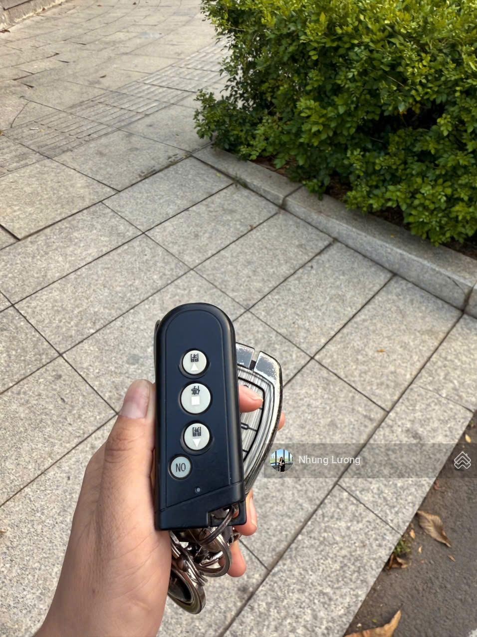 ảnh