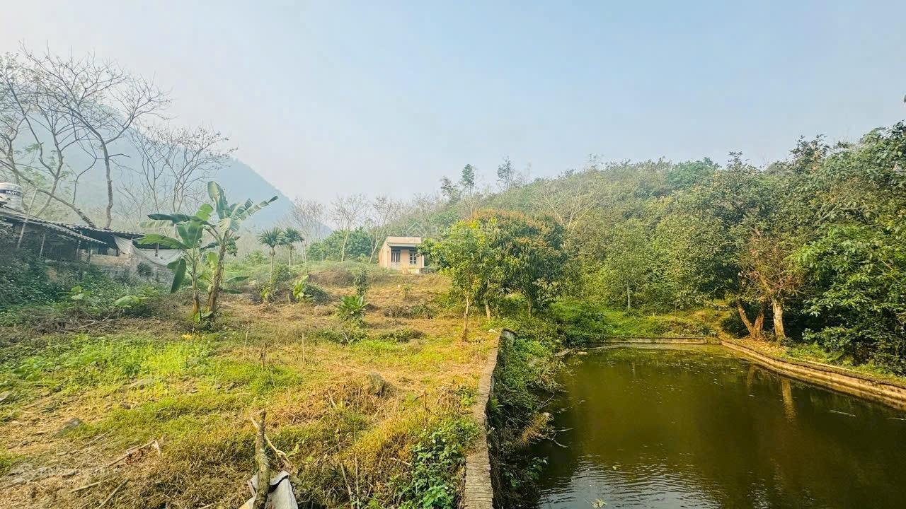 Chuyển nhượng hơn 1,3ha đất thị trấn đà bắc _gần cao tốc hoà bình _mộc châu