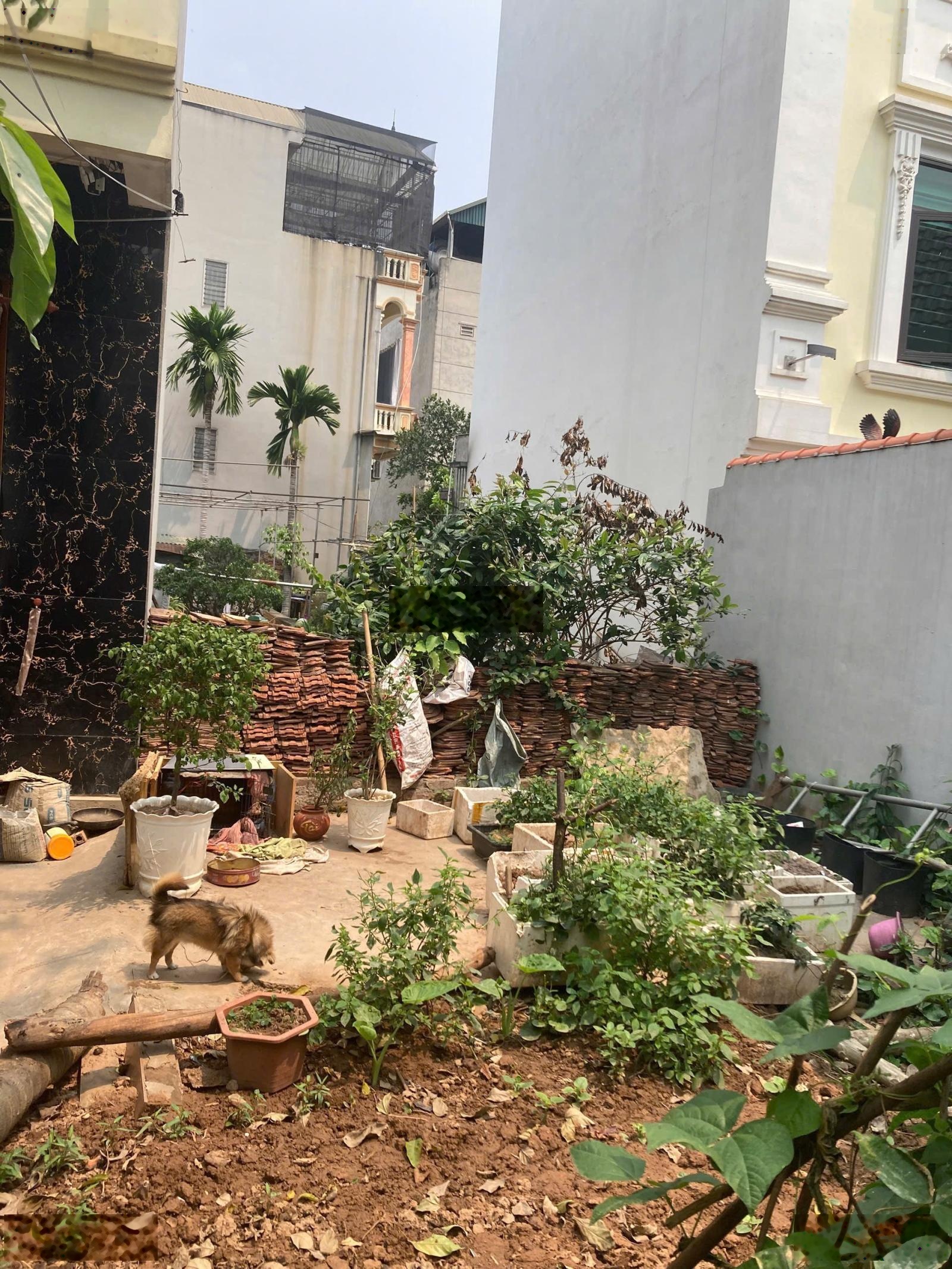 bám đất 37m tổ 2 đồng mai ,giá 4ty7.lh 0989462485