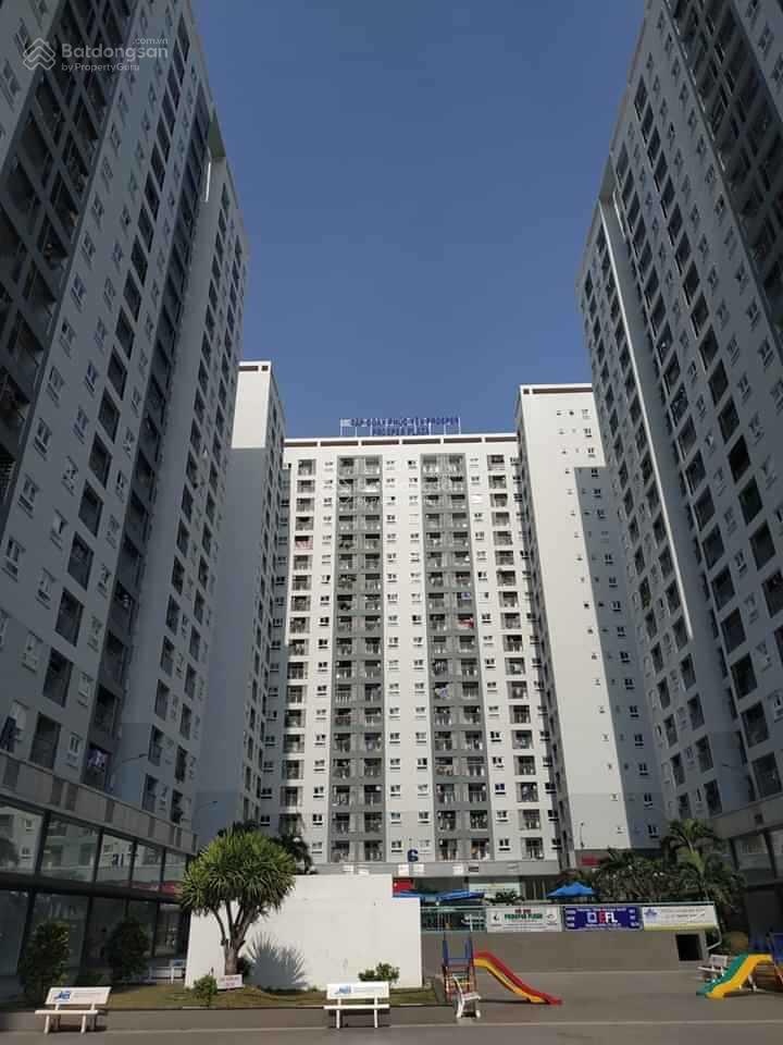 ảnh