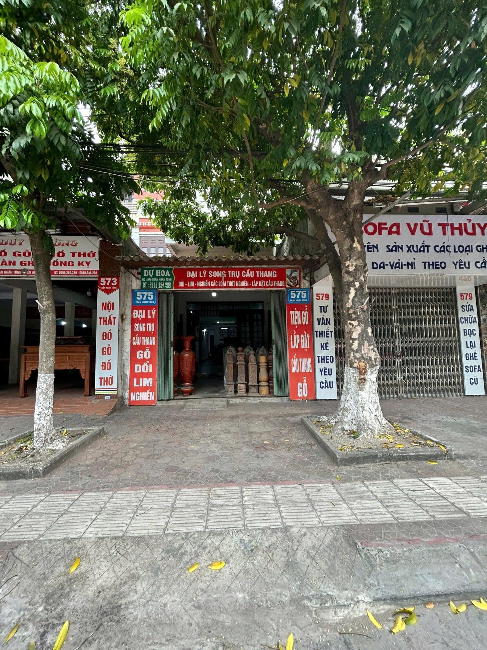 ảnh