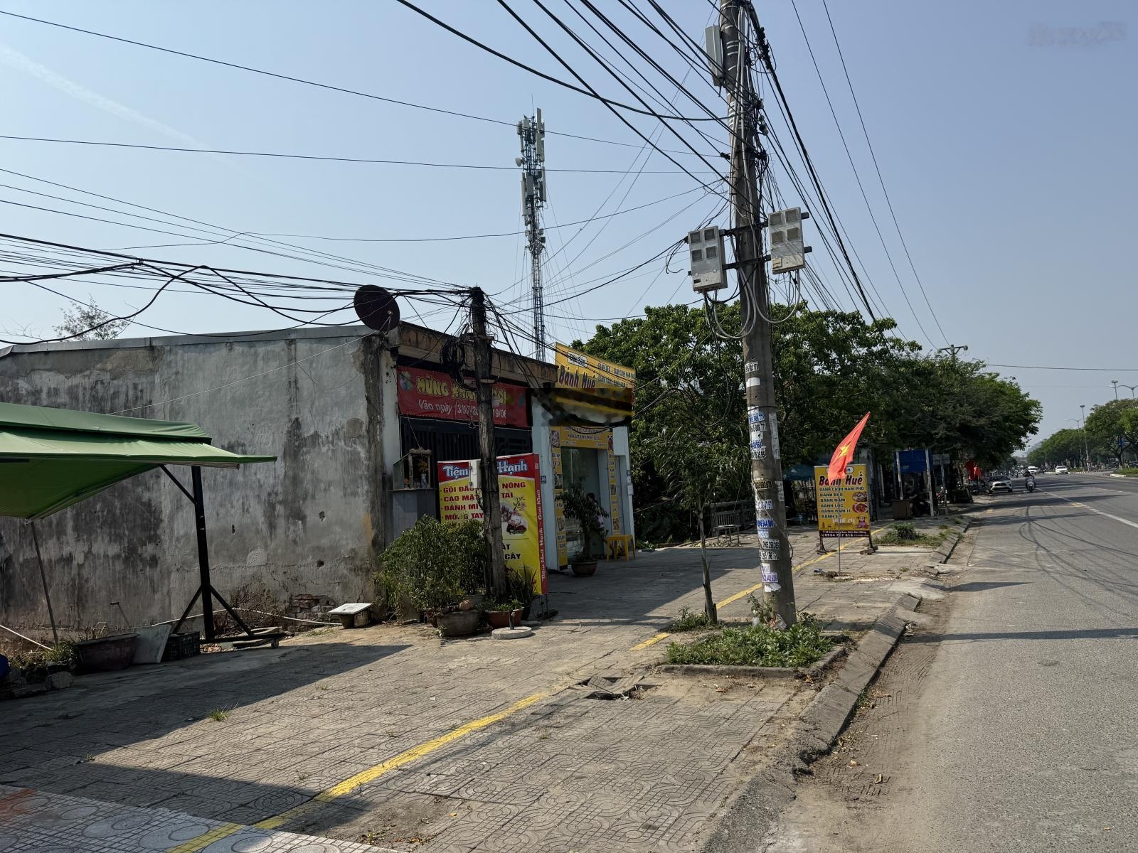 ảnh