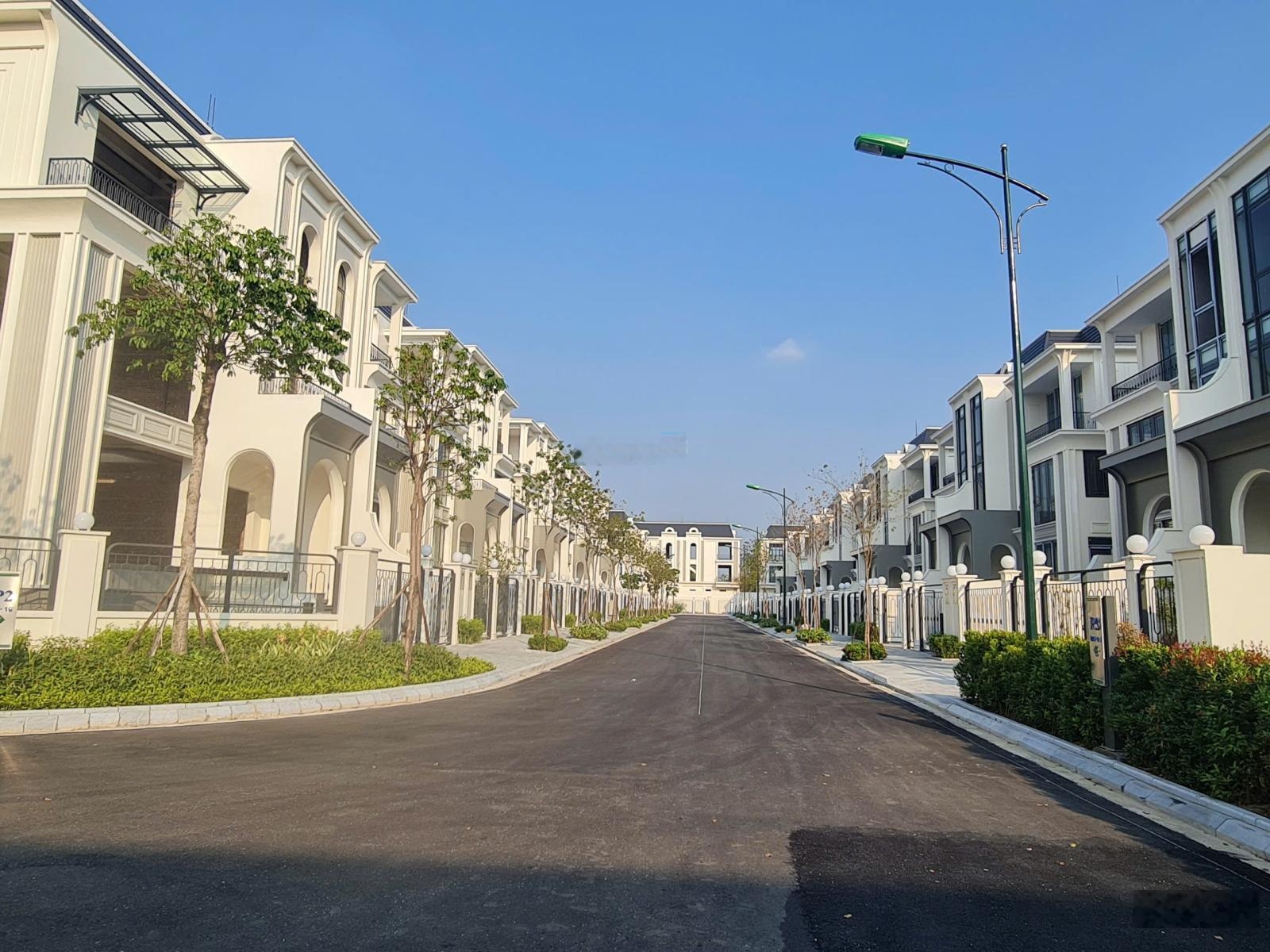 Bán lô biệt thự 230m2 khu P Ciputra - Tây Hồ, 0906995889