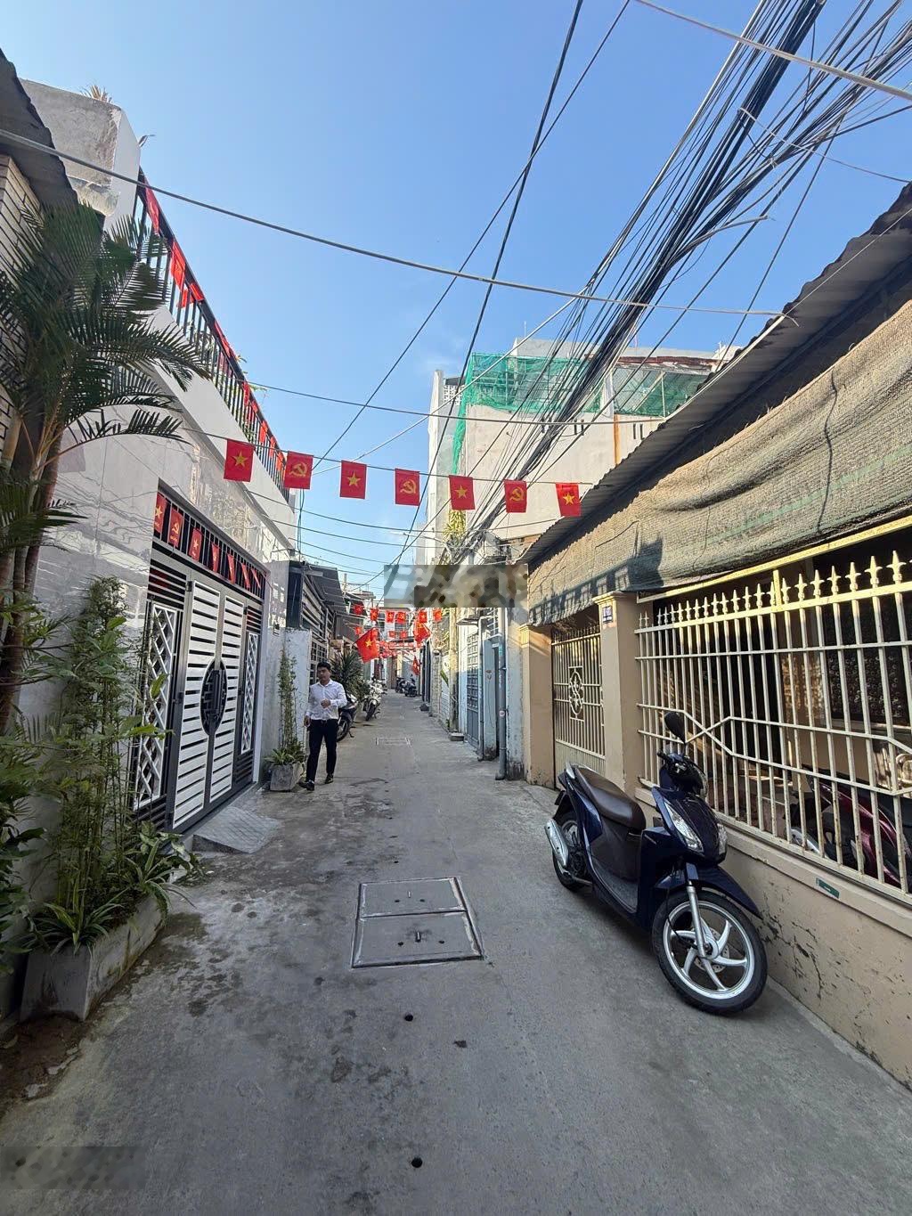 Hàng hiếm Sơn Trà giá tốt đi bộ ra biển