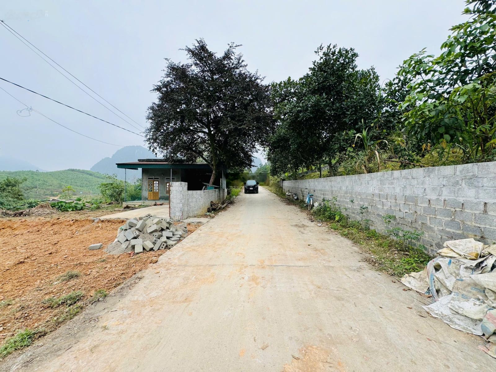 DT 380m có 200m ONT + CLN TẠI Nam Thượng, Kim Bôi, Hòa Bình( Phú Thọ).