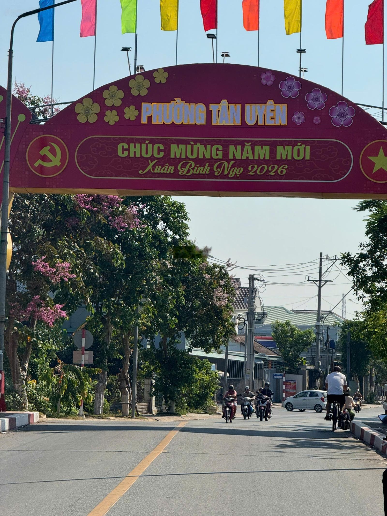 ảnh