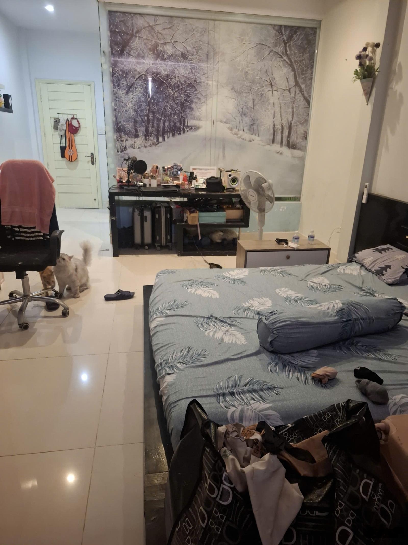 Bán Nhà Mặt Tiền Đường CN1 4,5x20m Giá 19 tỷ - P. Tây Thạnh, Q. Tân Phú