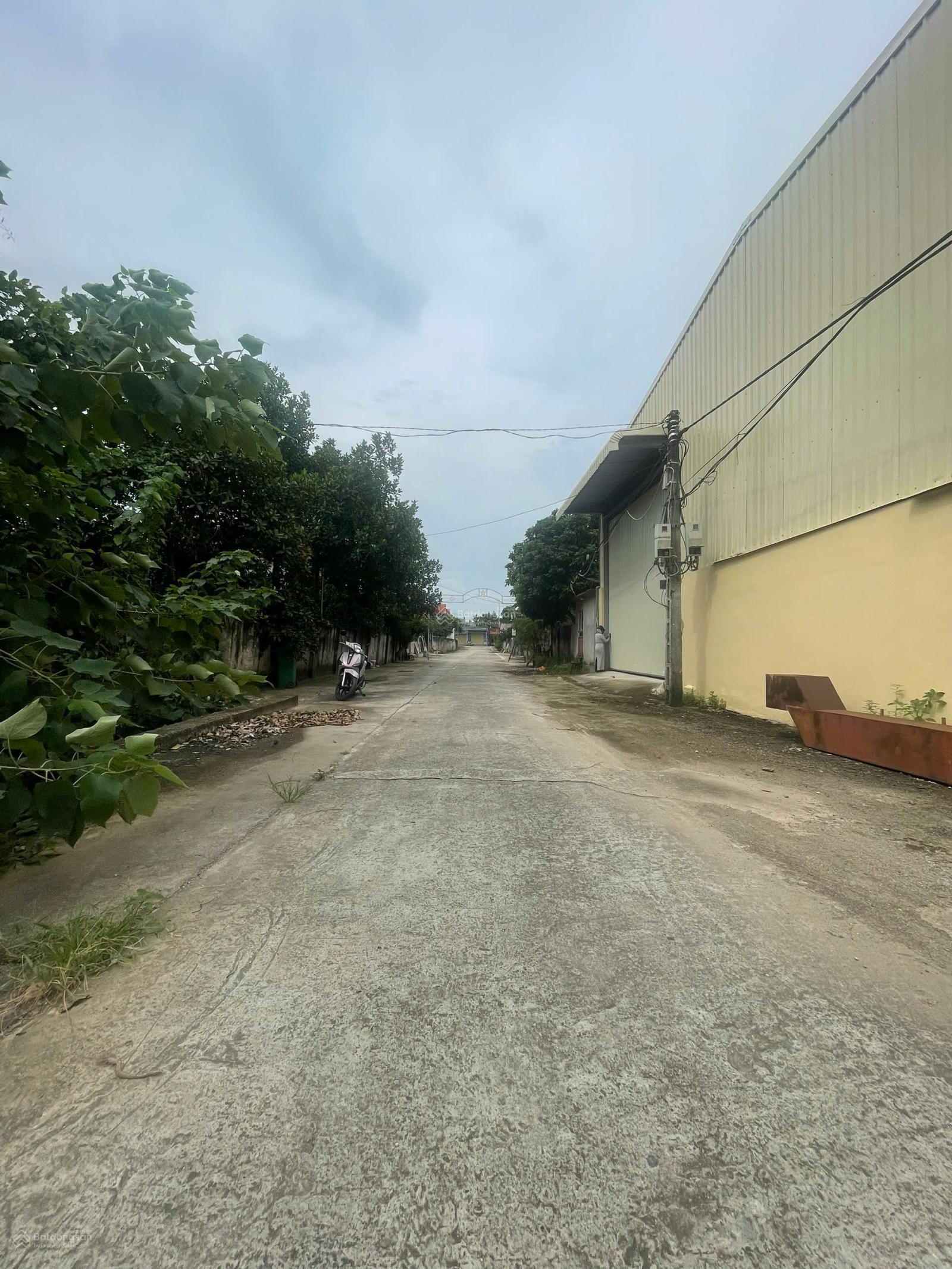Cho thuê 1000m nhà xưởng mới dựng, khung thép chắc chắc, xe Container đỗ cửa