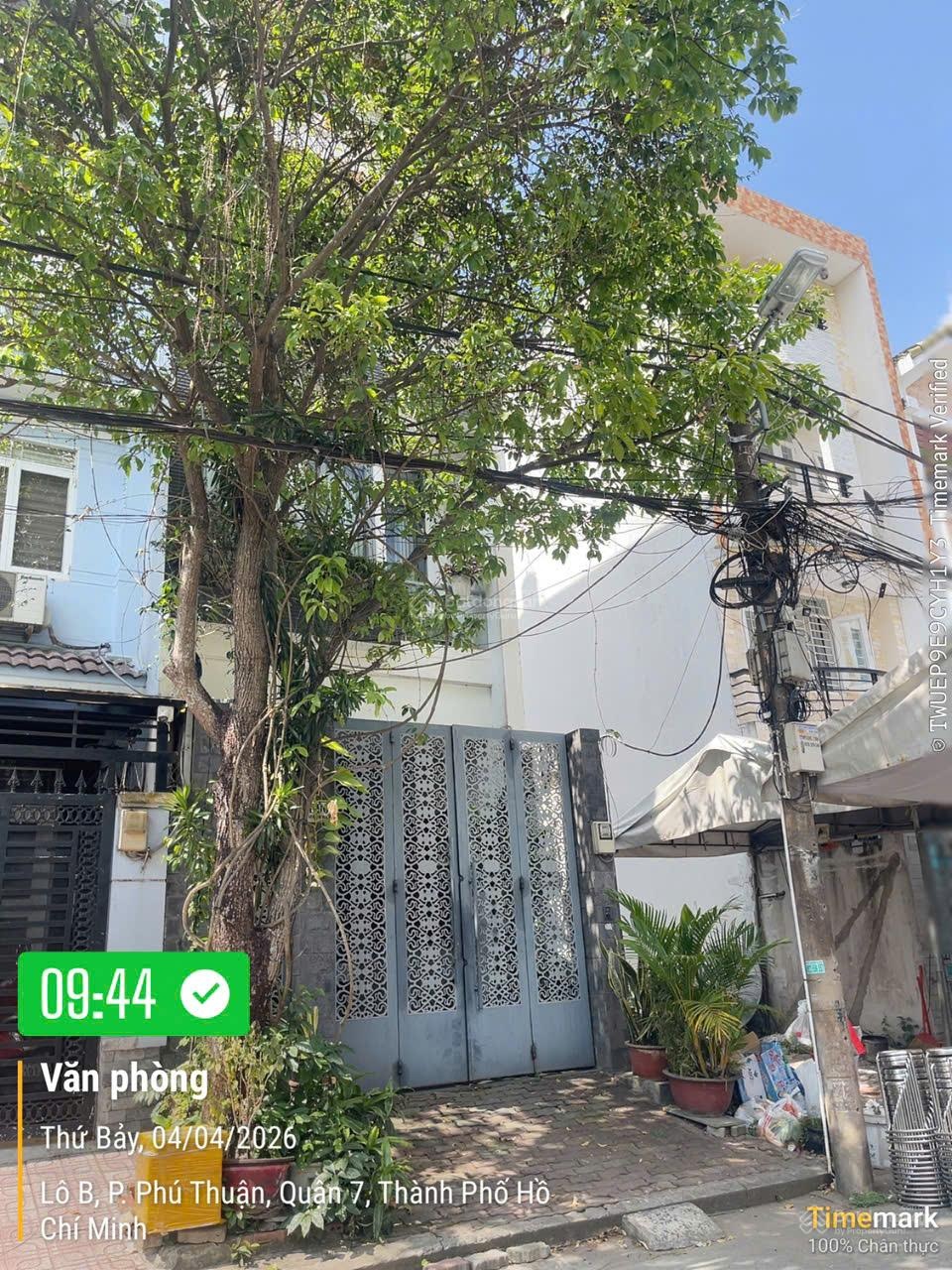 ảnh
