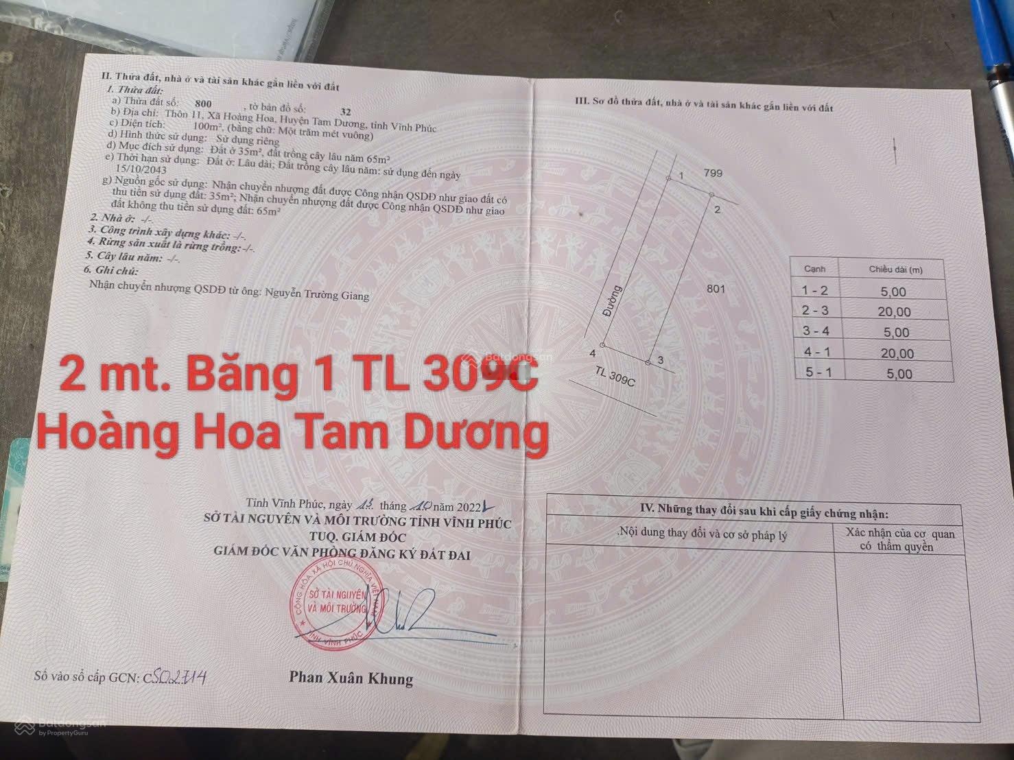 Bán đất mặt đường TL 309C Hoàng Hoa, Tam Dương , gần cây xăng hoàng hoa