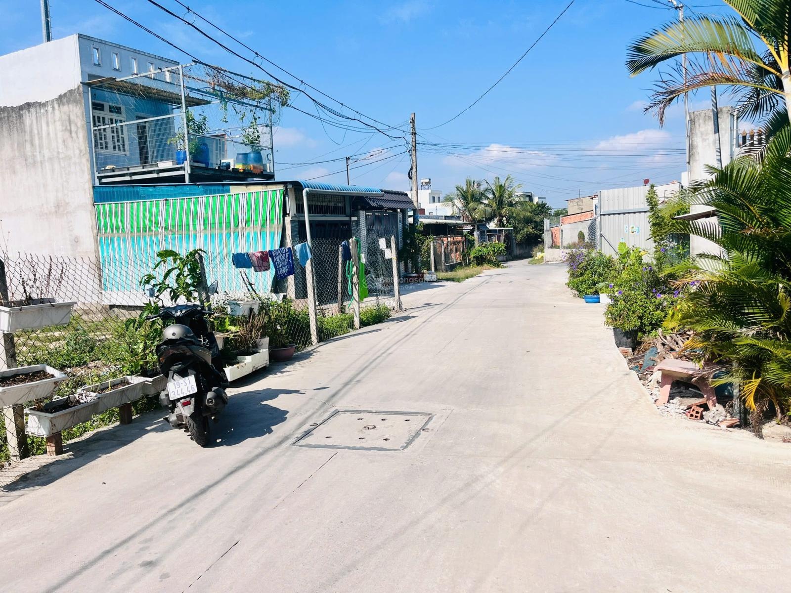 ảnh