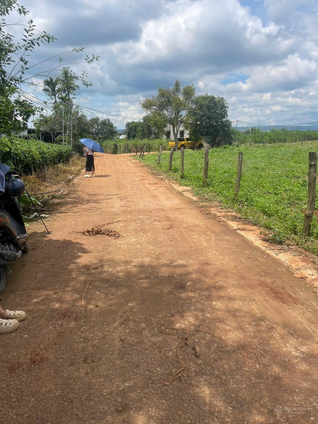 Bán lô đất thuộc Đức trọng cũ cách sân bay liên khương chỉ 15 phút đi chuyển giá rẻ