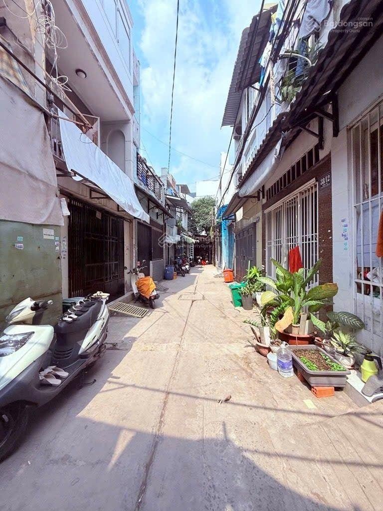 ảnh