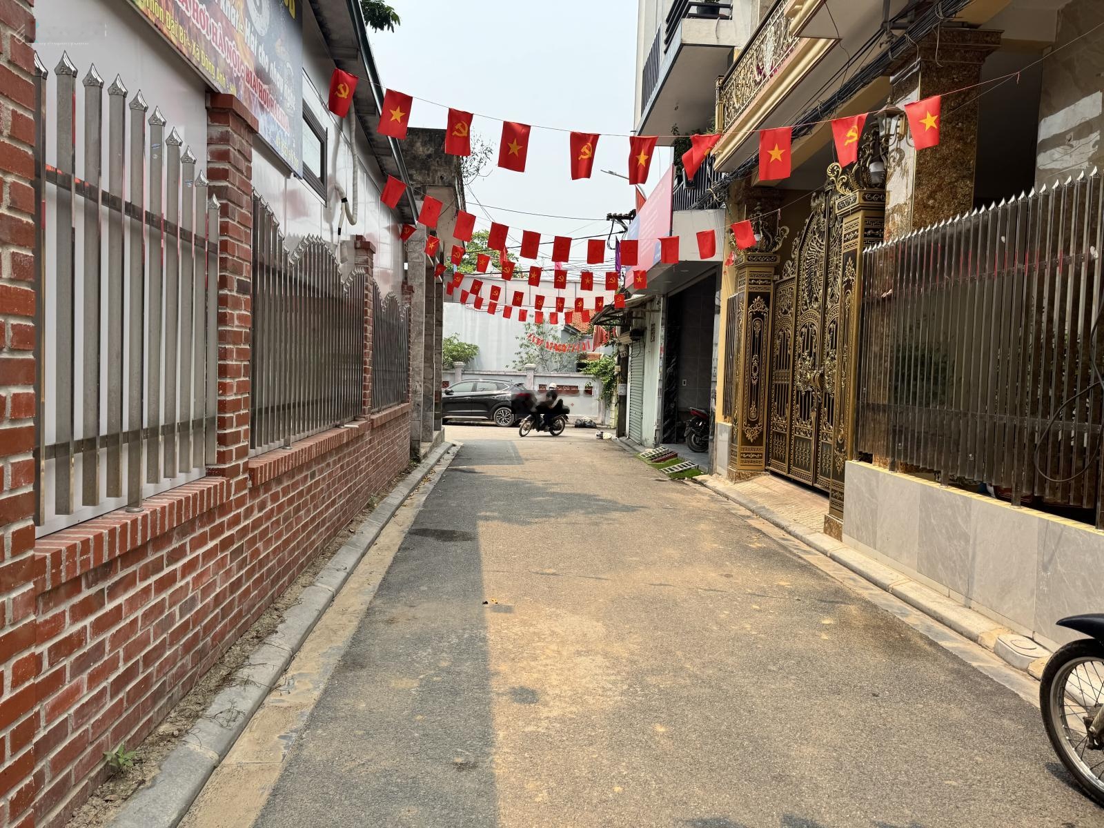 ảnh