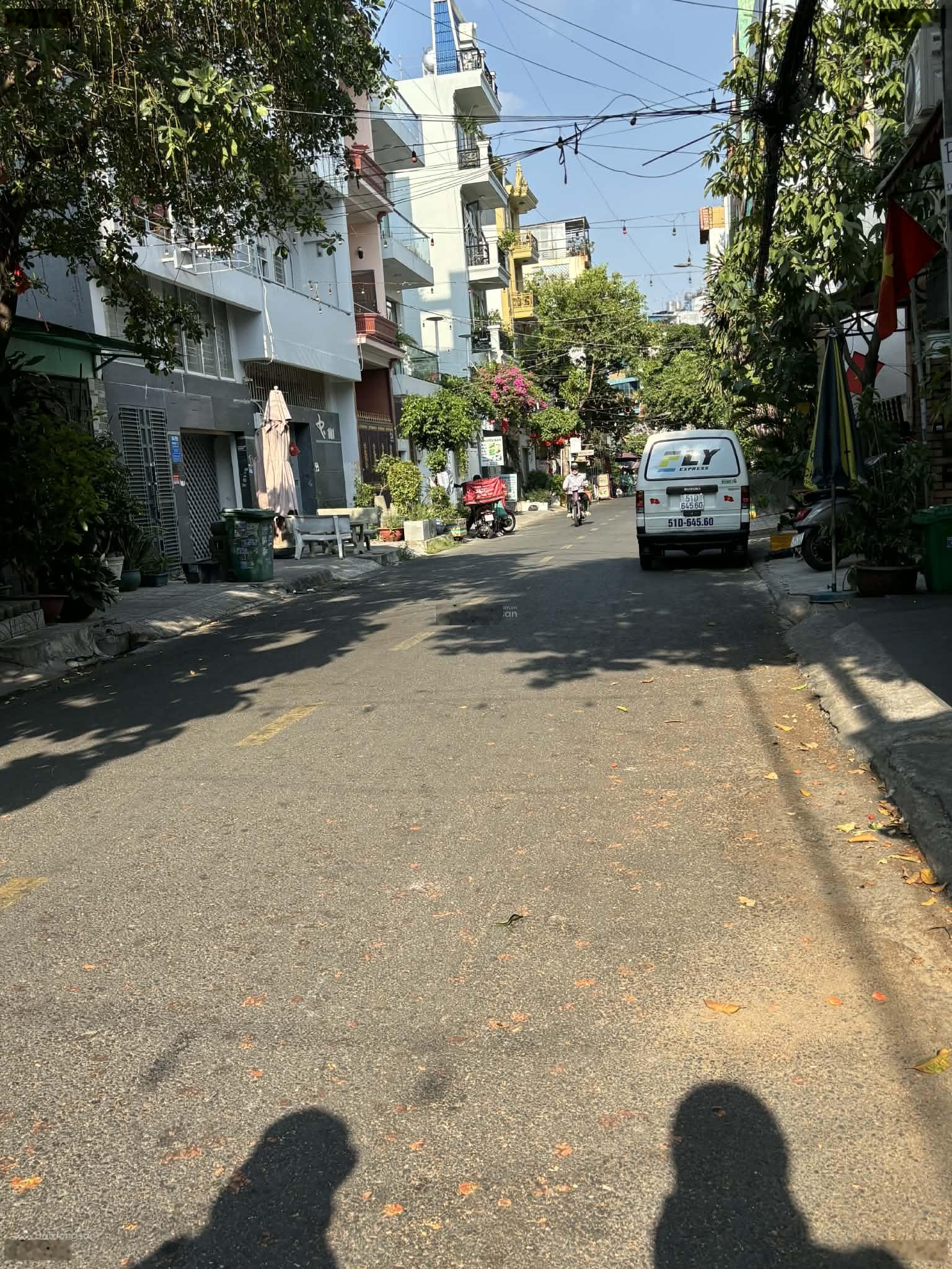 ảnh