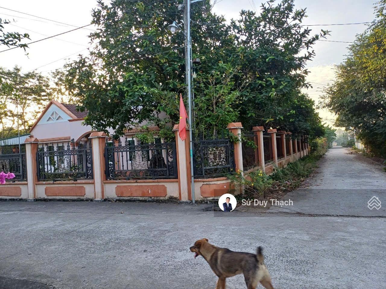 ảnh